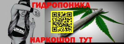 индика Ливны