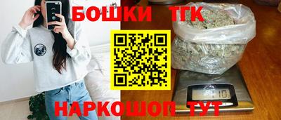 индика Ливны