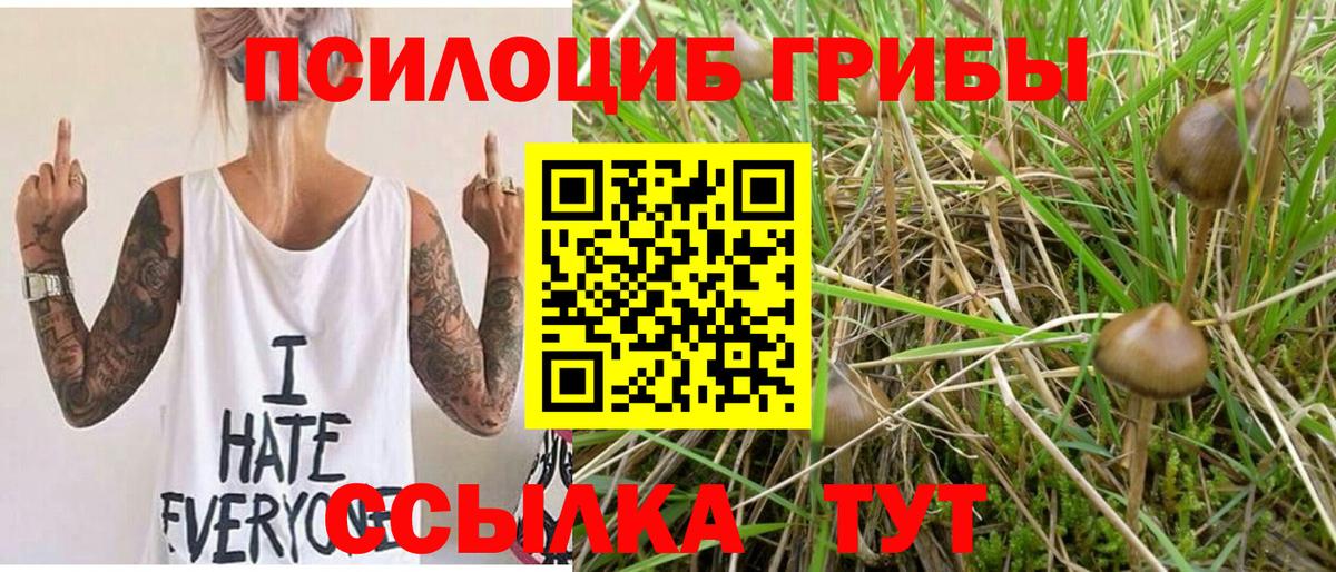 Галлюциногенные грибы GOLDEN TEACHER  купить закладку  Чита  Вход с VPN 