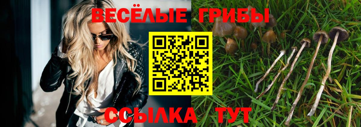 Псилоцибиновые грибы мицелий Чита